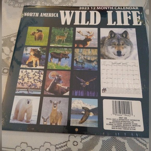 North America Wild Life 12*12" Wall Calendar 2023 Eagle Flying on Cover - Picture 5 of 5